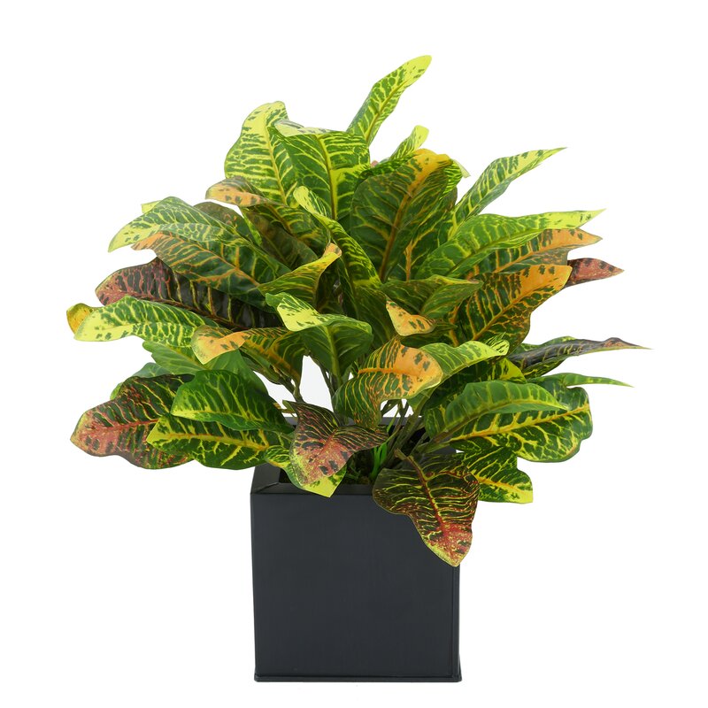 Latitude Run® 12'' Artificial Foliage Plant in Pot Wayfair